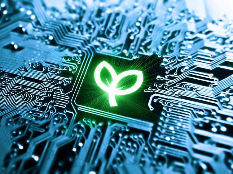A digital plant in front of a digital background.
